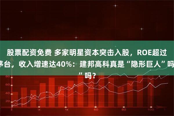 股票配资免费 多家明星资本突击入股，ROE超过茅台，收入增速达40%：建邦高科真是“隐形巨人”吗？
