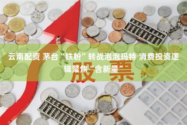 云南配资 茅台“铁粉”转战泡泡玛特 消费投资逻辑聚焦“含新量”