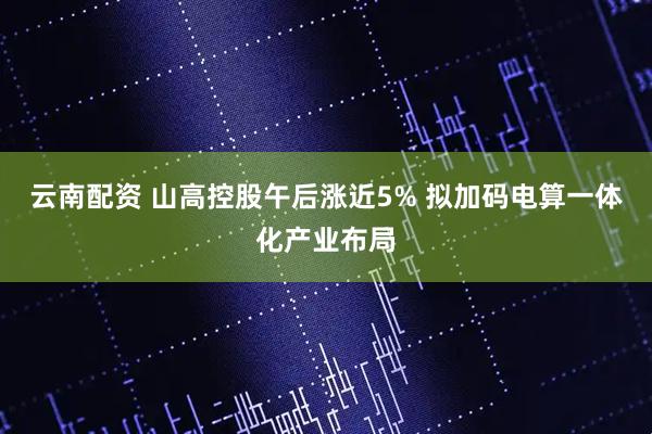 云南配资 山高控股午后涨近5% 拟加码电算一体化产业布局