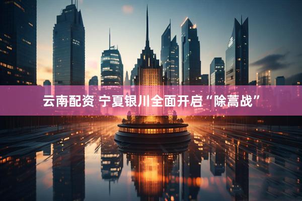 云南配资 宁夏银川全面开启“除蒿战”